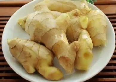 1475128301124413.png 生姜.png